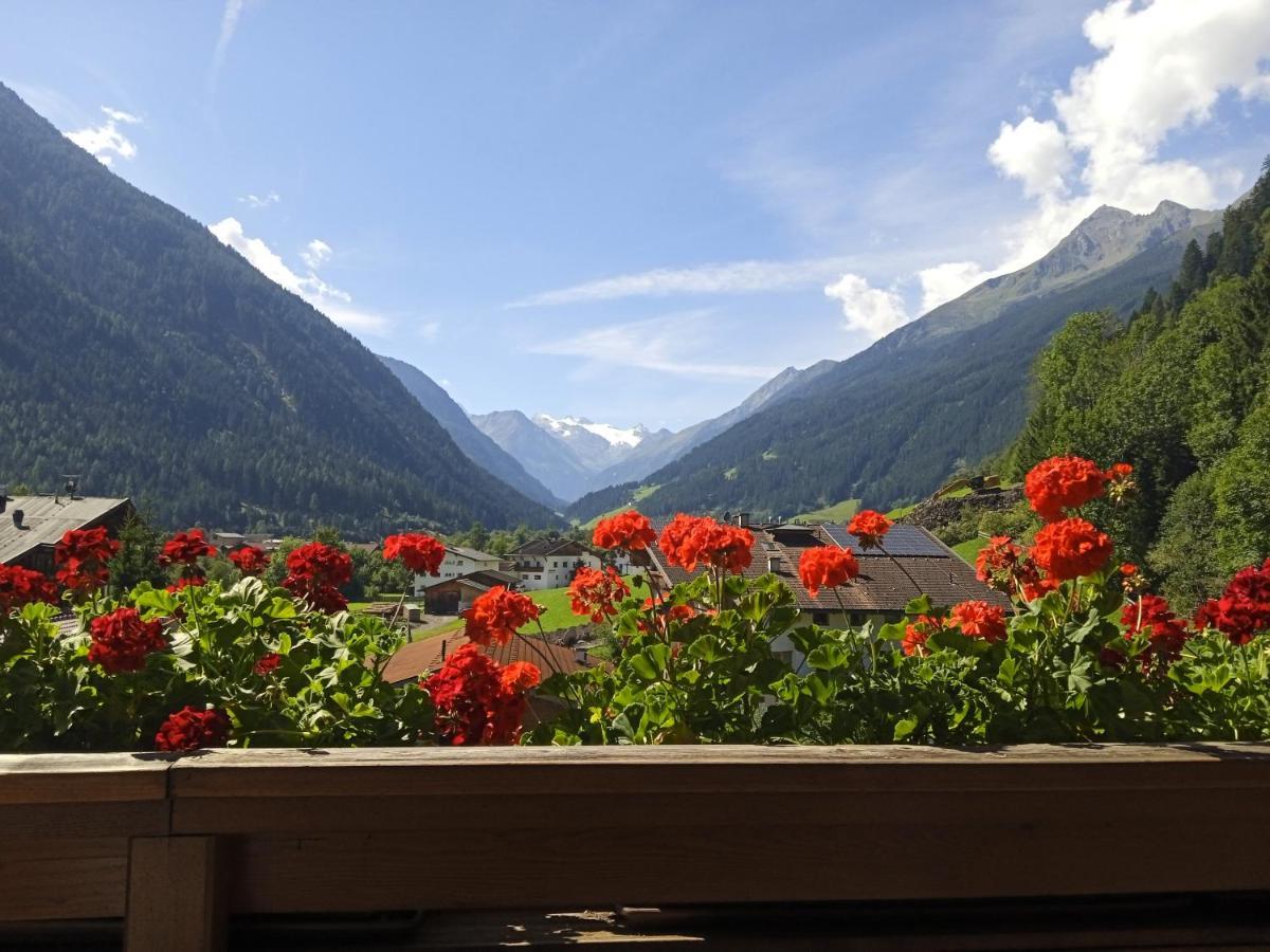 Apartment Fernerblick Neustift im Stubaital Bagian luar foto